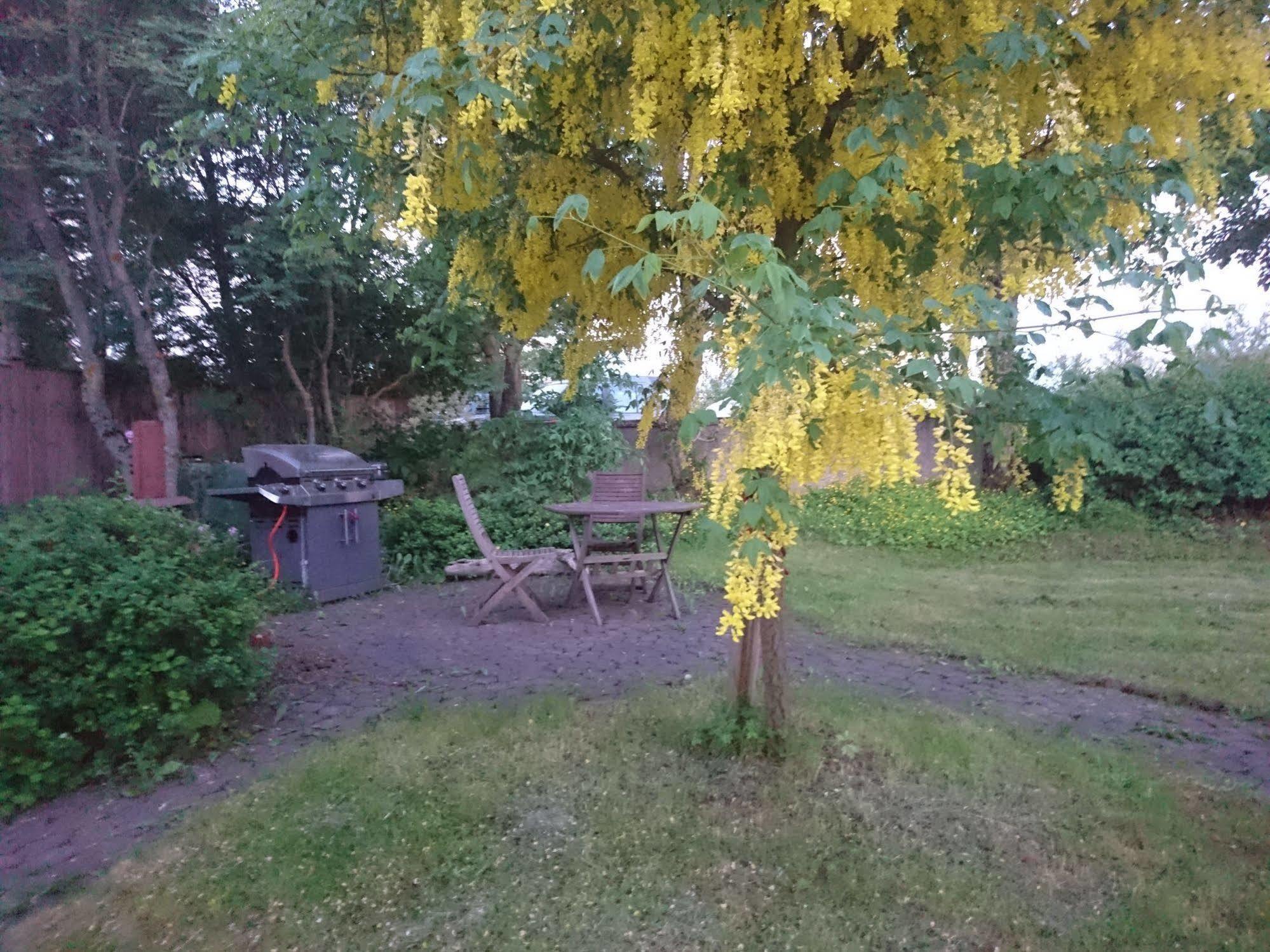 Alba Guesthouse Reykjavík Zewnętrze zdjęcie