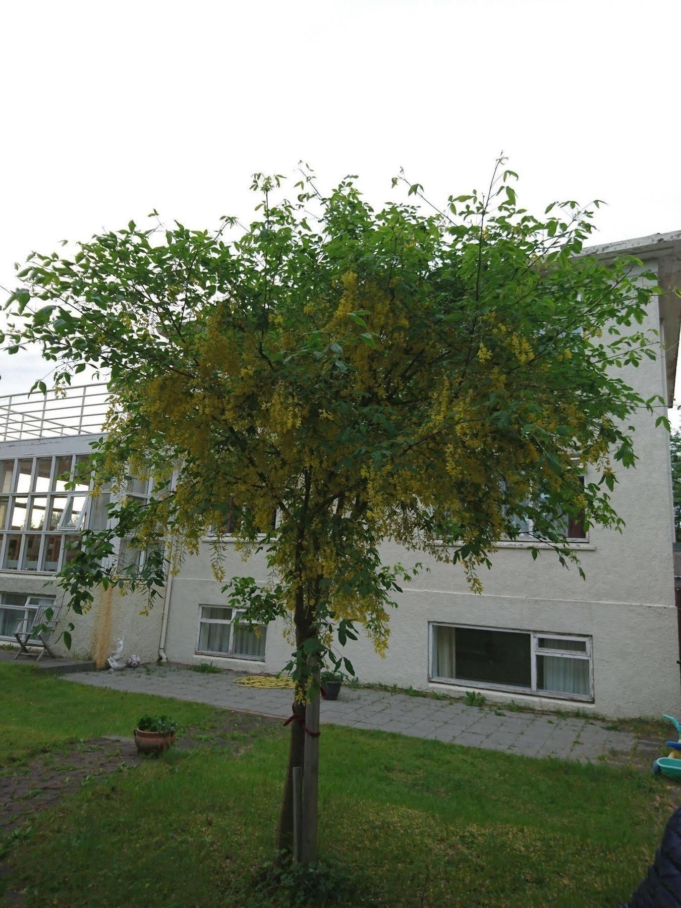 Alba Guesthouse Reykjavík Zewnętrze zdjęcie